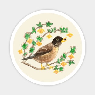 Beautiful wild thrush (bird) in watercolor for nature lovers Magnet